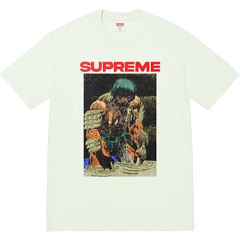 Mint Supreme Ronin Tee T Shirts | AU246MA